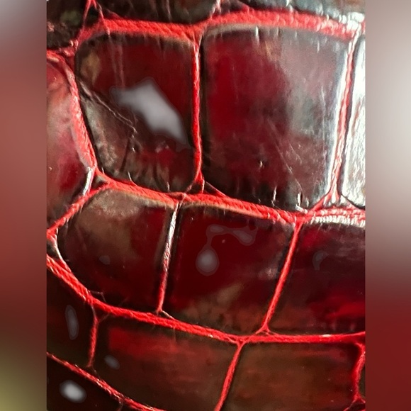 Dooney & Bourke Red Croc-Embossed Shoulder Bag - Picture 6 of 10